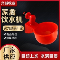新款升級雞用自動飲水器鴨用自動飲水器鵪鶉養(yǎng)殖廠用飲水碗