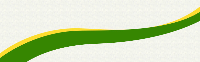 晶鑫調(diào)味食品-詳情_21