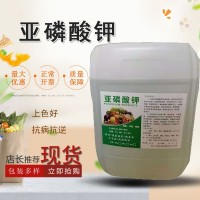 現(xiàn)貨供應緩沖劑原液亞磷酸鉀 控梢?；ü~面水溶肥亞磷酸鉀