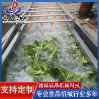 全自動(dòng)果蔬氣泡清洗機(jī) 商用洗菜洗水果設(shè)備 大型車(chē)?yán)遄訖阎榍逑礄C(jī)