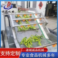 蔓越莓氣泡果蔬清洗機(jī) 全自動(dòng)山野菜蔬菜加工設(shè)備 醬菜脫鹽清洗機(jī)