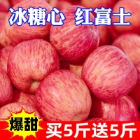 冰糖心蘋果新鮮丑現(xiàn)摘新鮮水果1/5/10斤批發(fā)價(jià)跨境獨(dú)立站速賣通
