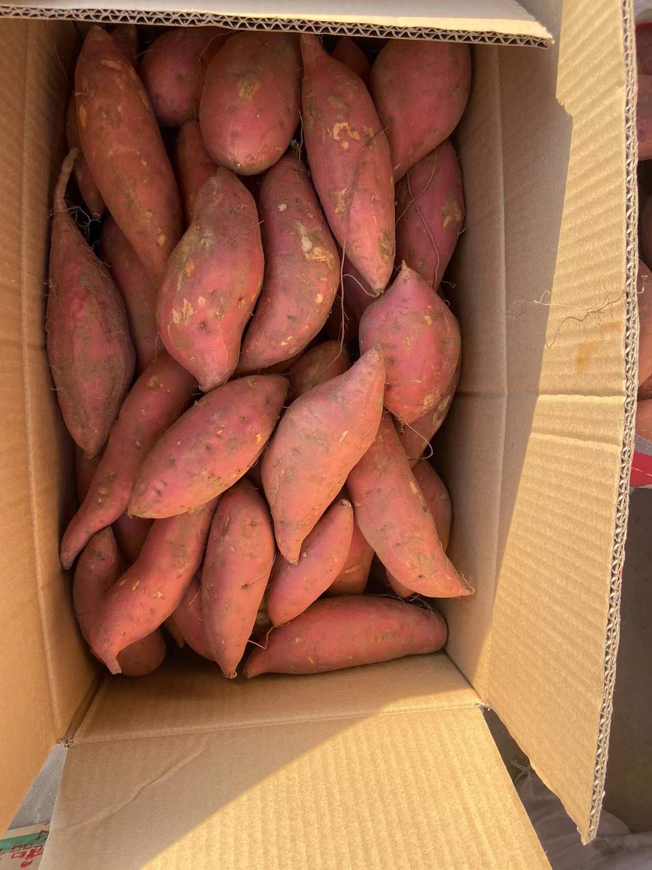 微信圖片_20211212165732