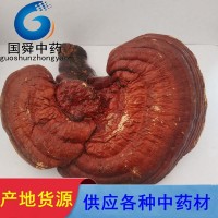 【國舜堂】靈芝500g實(shí)物拍照產(chǎn)地貨源中藥材批發(fā)供應(yīng)【靈芝】