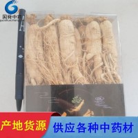 【國舜堂】人參 生曬參原皮參500g個頭大 中藥材批發(fā)供應【人參】