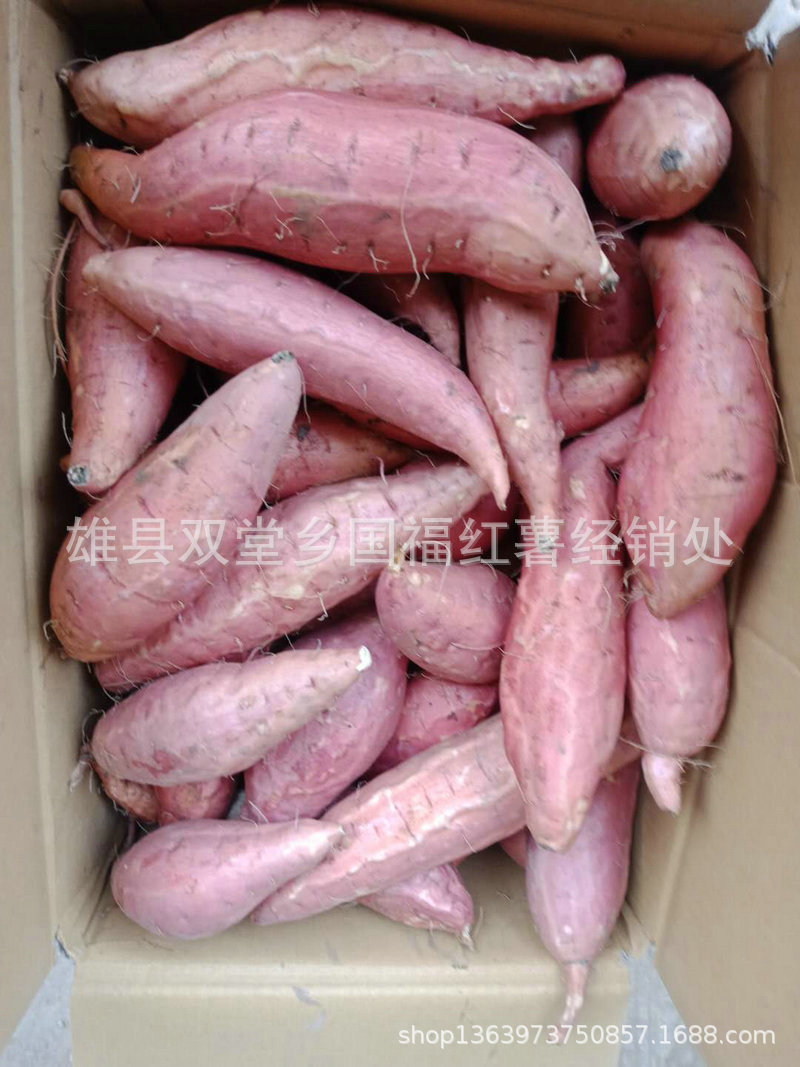 微信圖片_20180911110451