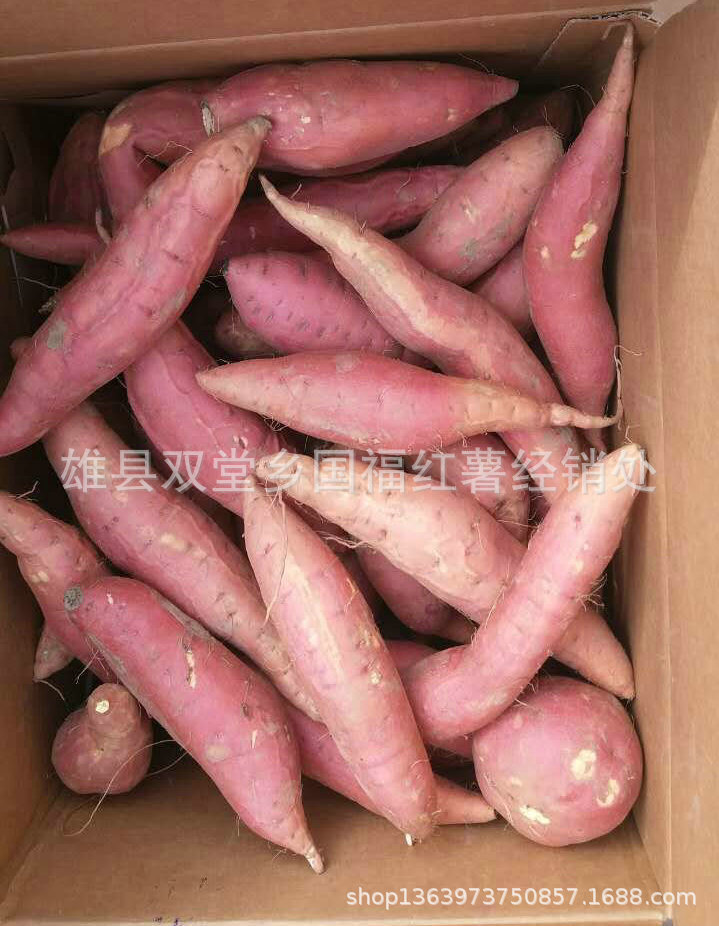 微信圖片_20180911110458