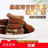 優(yōu)質(zhì)松樹皮打磨松鱗 適合各種綠植介質(zhì)園林覆蓋化工過濾 規(guī)格齊全