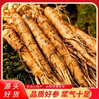 長(zhǎng)白山新鮮人參整支帶土鮮參500g散裝批發(fā)現(xiàn)貨圓參煲湯泡酒代發(fā)