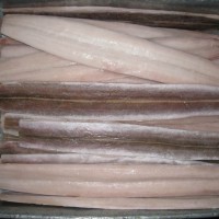 供應(yīng) 廠家直銷 長(zhǎng)期大量加工海鰻片,美鰩片,孔鰩片,黃舒魚