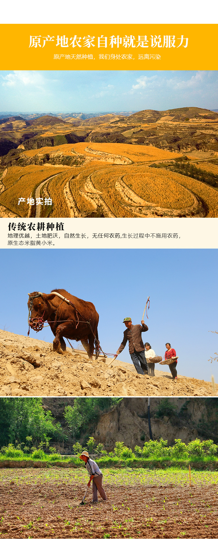 黃小米詳情頁_04