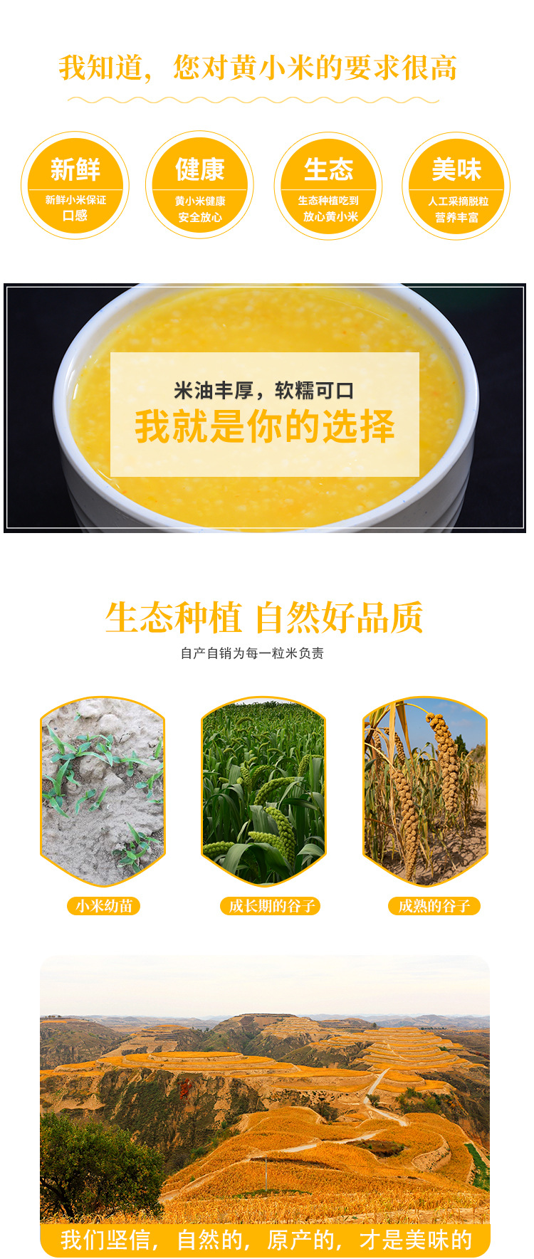 黃小米詳情頁_03