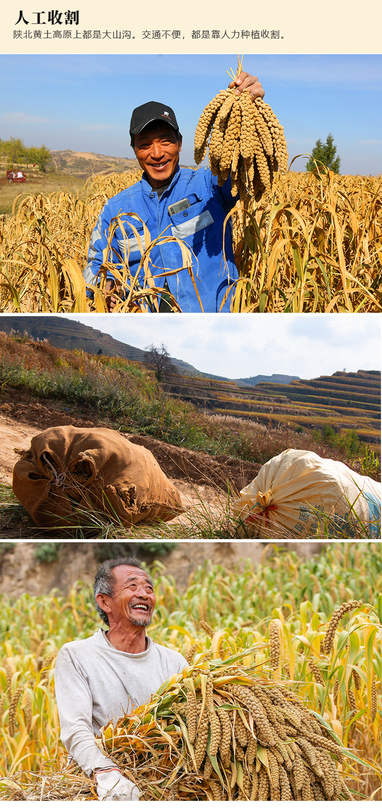 黃小米詳情頁_05