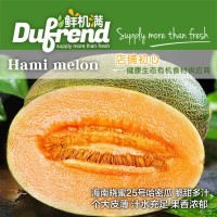 海南哈密瓜西州 新鮮蜜瓜孕婦水果新鮮包郵9斤當(dāng)季整箱網(wǎng)紋瓜應(yīng)季