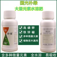 國(guó)光樸綠 植物黃化高磷鉀全水溶肥料含微量元素鐵肥鋅硼肥葉面肥