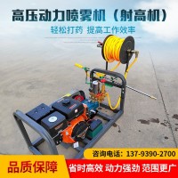 廠家貨源噴霧機(jī)射高機(jī)樹(shù)木打藥機(jī)動(dòng)力噴霧機(jī)擔(dān)架式打藥機(jī)林業(yè)專用