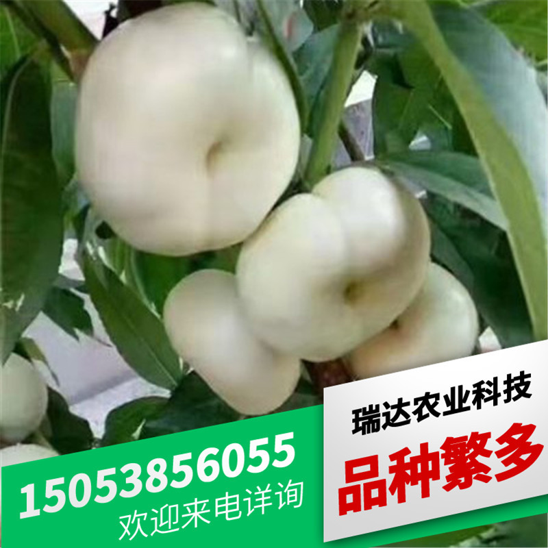 95519097d120a460b0a2d4979ad30e