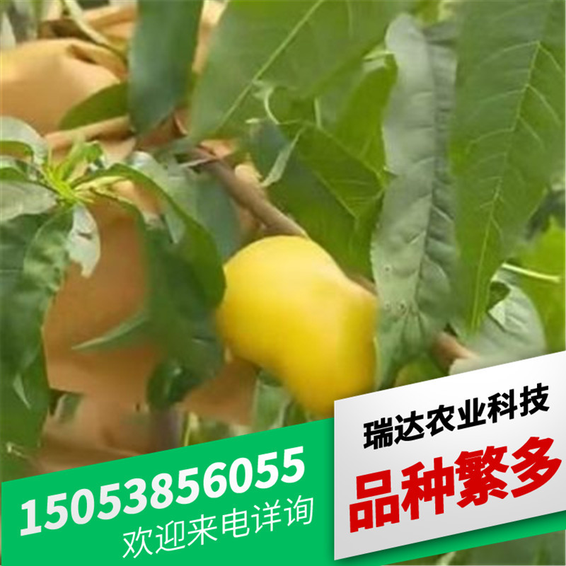 ae39a109415fcc4130e5c5a2cc3ef6