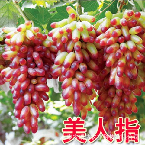 fb949bb6e9d4a2e07f731ed632baf0