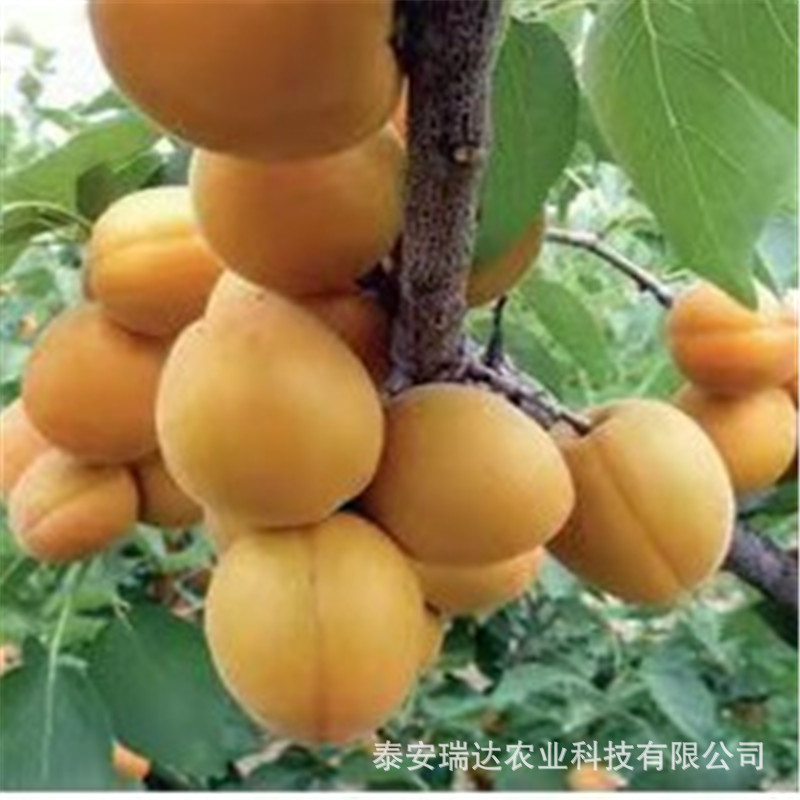 05e2790cb1b4ab76a3f783a9f1bcff