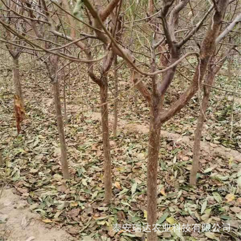 27a0f0c64309ac34f1c958042fc620