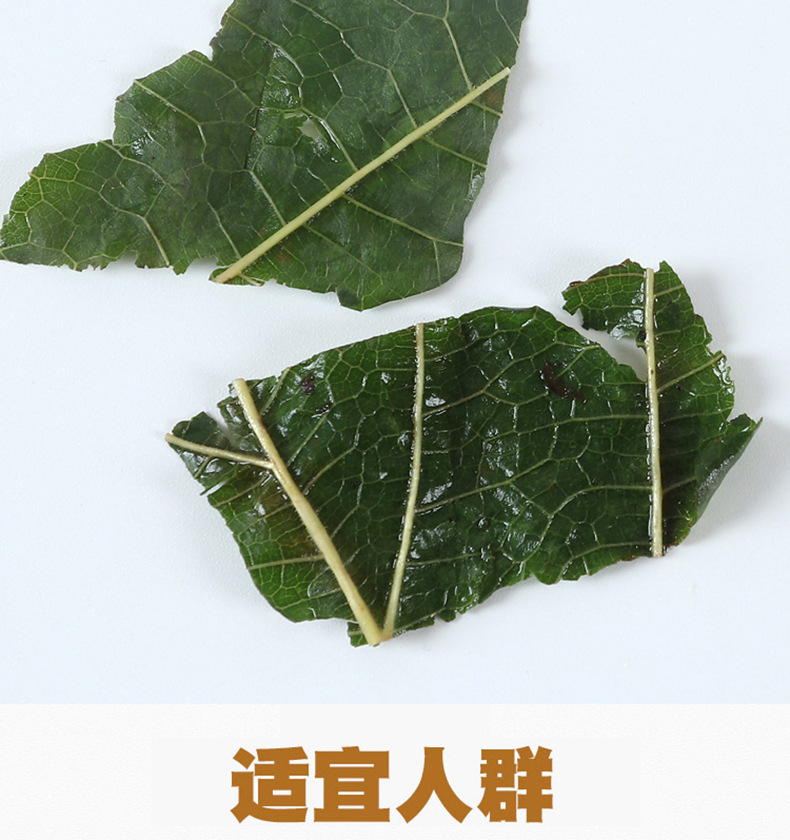 桑葉茶250克罐裝012