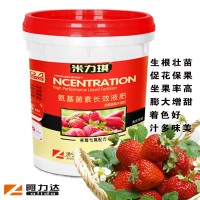 草莓專(zhuān)用肥 快速生根壯苗 膨大增甜 口感好 全水溶黃腐酸鉀沖施肥