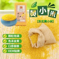 廠家現(xiàn)貨黃金小米月子?xùn)|北生態(tài)黃小米米脂小米黃小米批發(fā)五谷雜糧