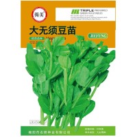 揭美大無(wú)須豆苗種子 豌豆苗種 菜籽 蔬菜種子原廠包裝25克