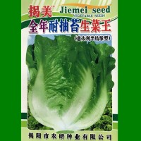 揭美10克意大利生菜種子 生菜籽 農(nóng)業(yè)大田種植 陽(yáng)臺(tái)園藝盆栽