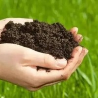 有機(jī)肥批發(fā)發(fā)酵羊糞有機(jī)肥雞糞牛糞生物有機(jī)肥微生物菌劑農(nóng)家肥