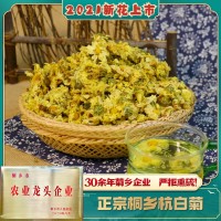 桐鄉(xiāng)錢林菊廠 新貨杭白菊朵花娃娃菊 散裝批發(fā)杭菊花原料菊沫現(xiàn)貨