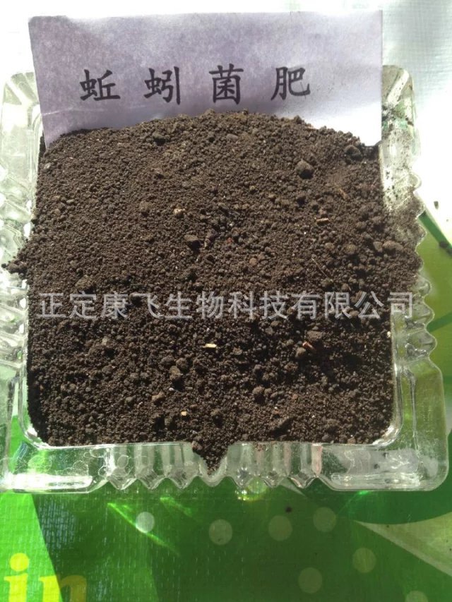 蚯蚓菌肥