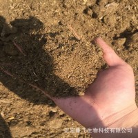 發(fā)酵羊糞 羊糞有機(jī)肥料 牛糞有機(jī)肥 雞糞有機(jī)肥 干雞糞