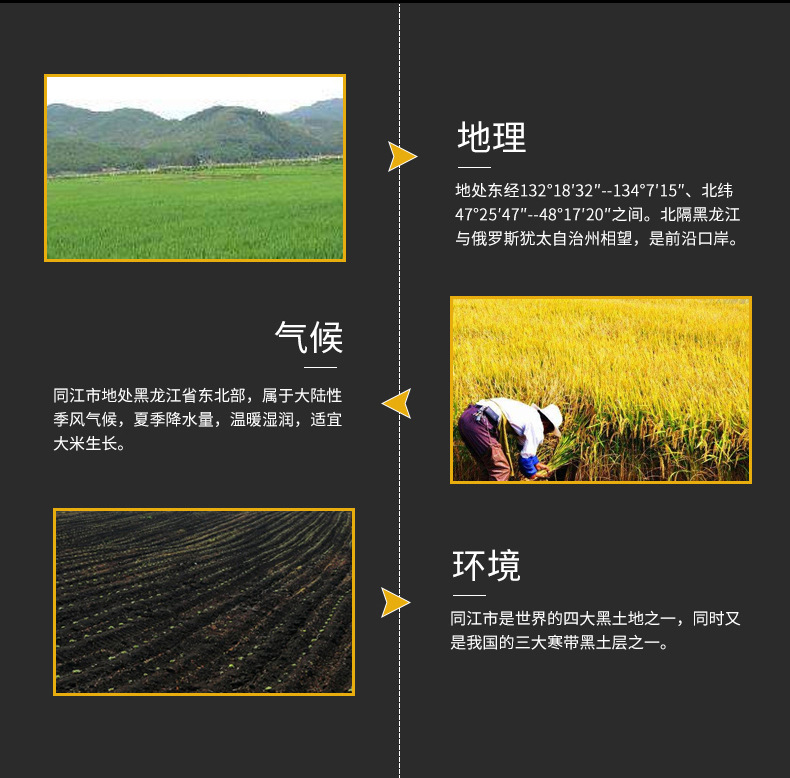 _沈陽(yáng)市遼中區(qū)鴻騰雜糧種植專(zhuān)-所屬行業(yè)-業(yè)合作社__06