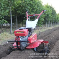 手扶式兩驅(qū)汽油輕便微耕機(jī) 打田松土耕整設(shè)備 農(nóng)用耕地翻土機(jī)械