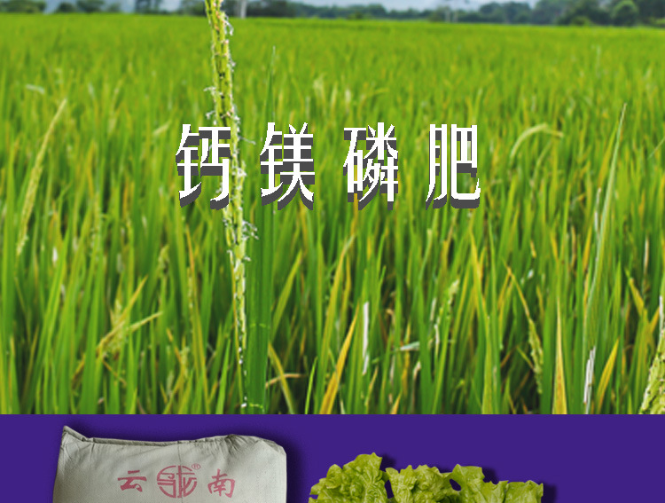 鈣鎂磷肥-優(yōu)等品_01