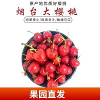 現(xiàn)摘山東大櫻桃5斤煙臺(tái)紅燈當(dāng)季孕婦新鮮水果車?yán)遄诱?斤裝包郵