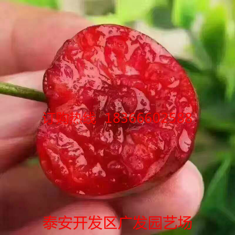 mmexport1496624206822