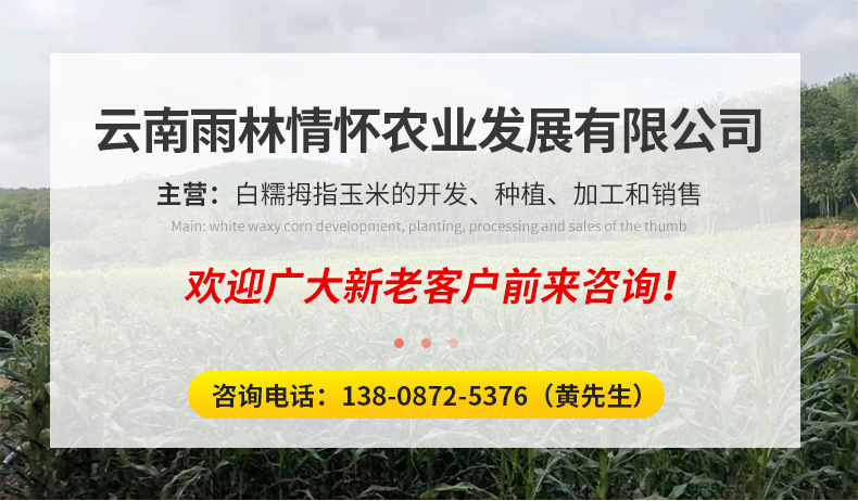 云南雨林情懷農(nóng)業(yè)發(fā)展有限公司1_01