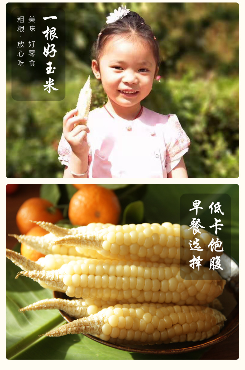 云南雨林情懷農(nóng)業(yè)發(fā)展有限公司1_07