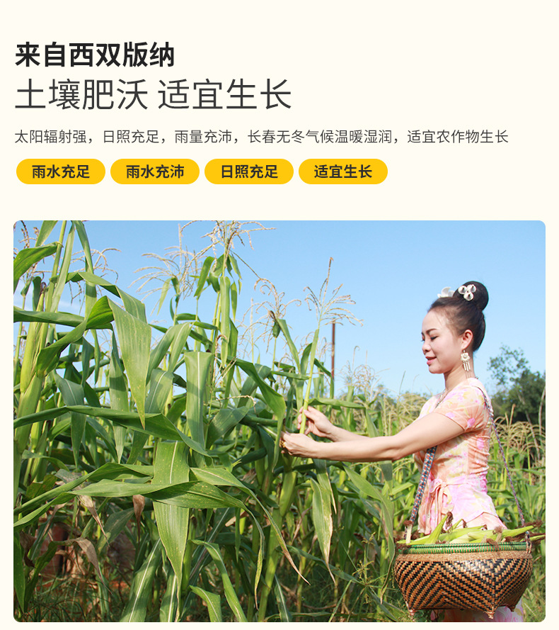 云南雨林情懷農(nóng)業(yè)發(fā)展有限公司1_06