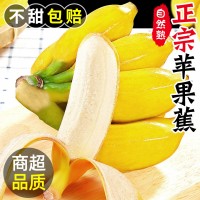 正宗蘋果蕉香蕉新鮮5斤當(dāng)季整箱水果自然熟粉蕉芭蕉小米香甜蕉10