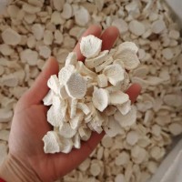 山藥鐵桂淮山藥【振興中藥】中藥材批發(fā)供應淮山藥片