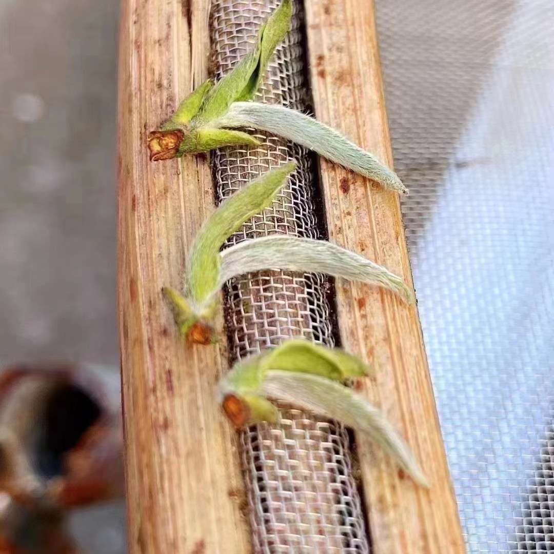 微信圖片_20220415182913_副本