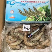 國(guó)產(chǎn)廣東湛江基圍蝦港洋新鮮大蝦鮮活白蝦水產(chǎn)餐飲火鍋酒店食材