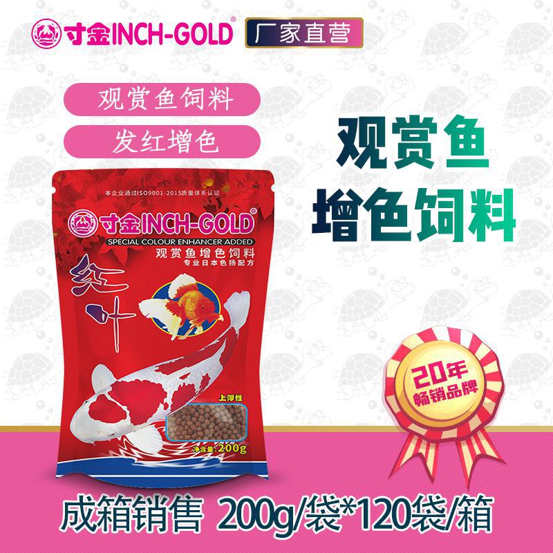 NO238錦鯉1