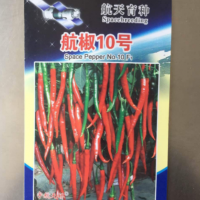 廠家批發(fā)蔬菜種子 航天種子 太空辣椒航椒10號(hào)20粒家庭裝