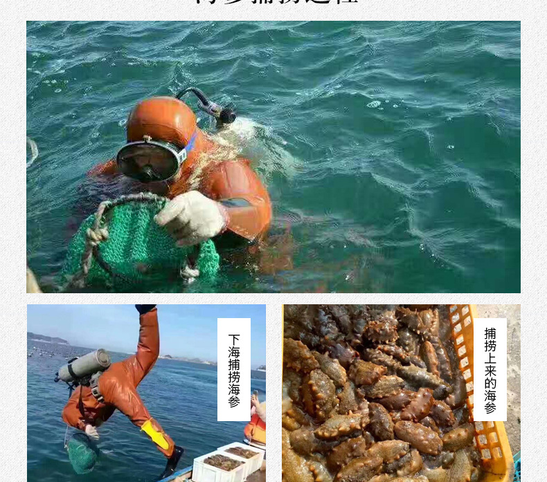 遼參刺參7X級(jí)-500g_04