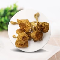 大量批發(fā)東北特產(chǎn)長(zhǎng)白山食用菌干蘑菇滑子蘑